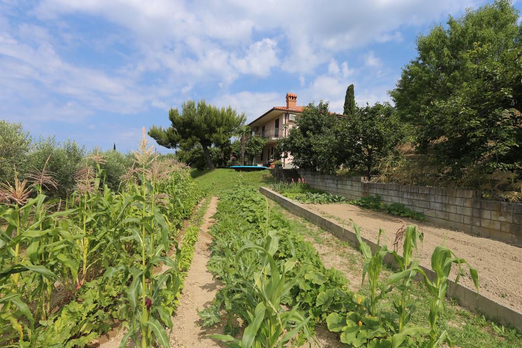 Mejak & Bordon Secovlje Exterior photo